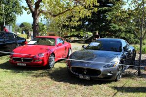Maserati Coupes